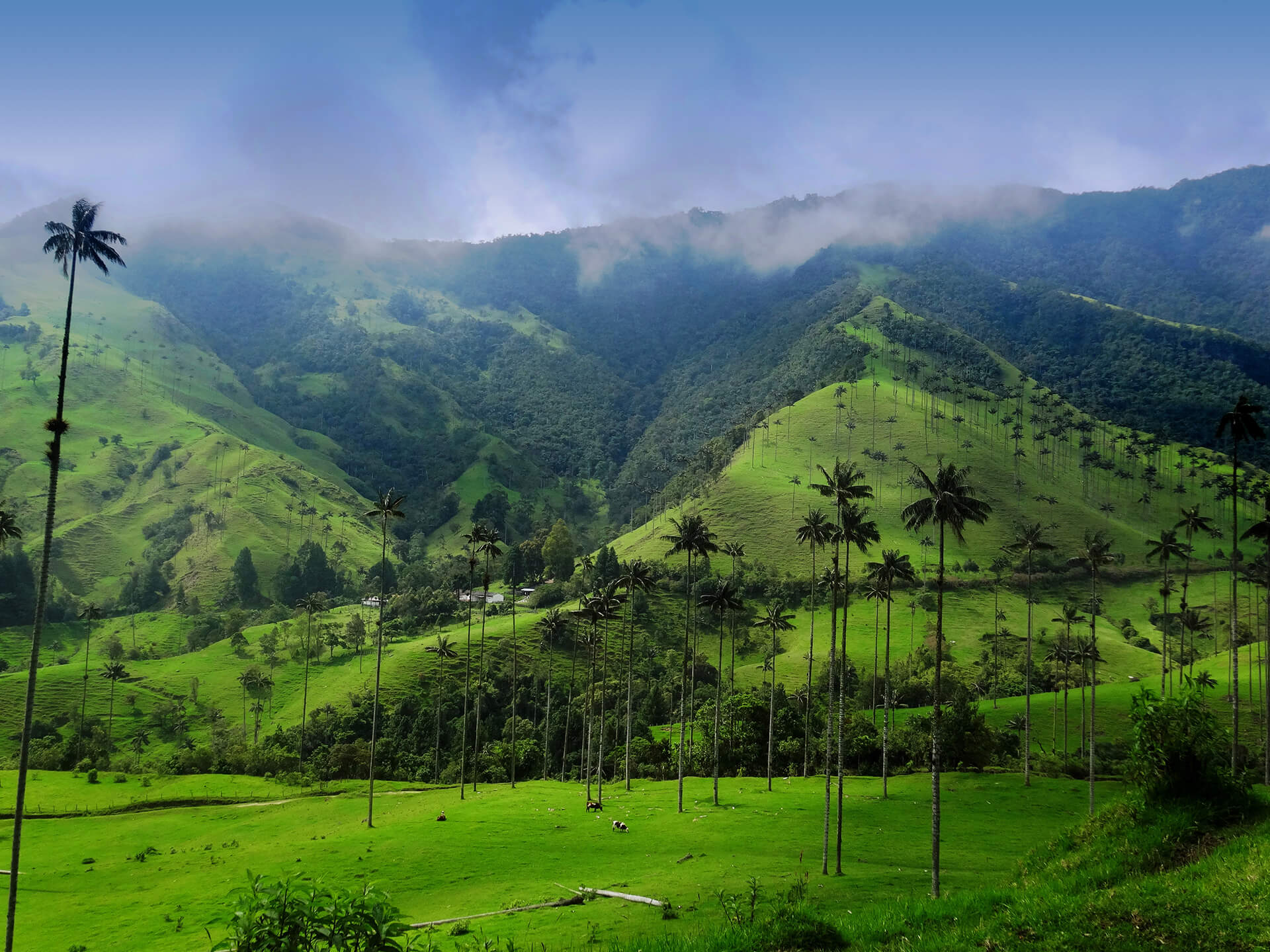 Colombia Luxury Tour | Luxury Travel Colombia | Blue Parallel