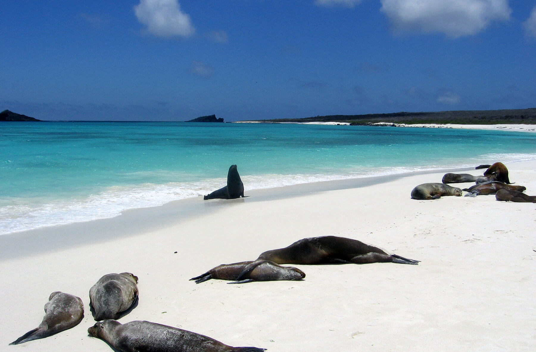 galapagos islands private tours