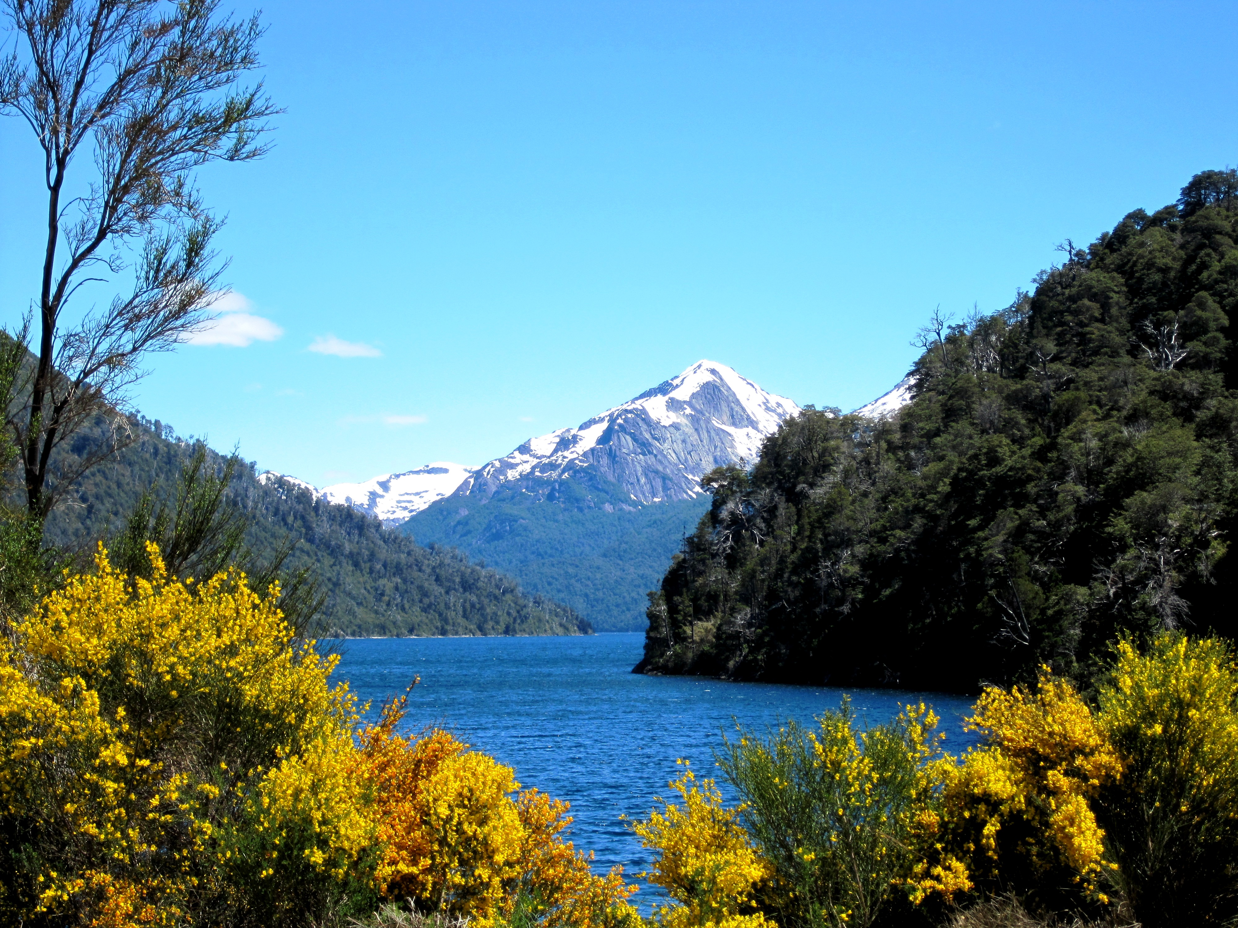 Mountain and lake views in the Argentine Lake District on a luxury trip
