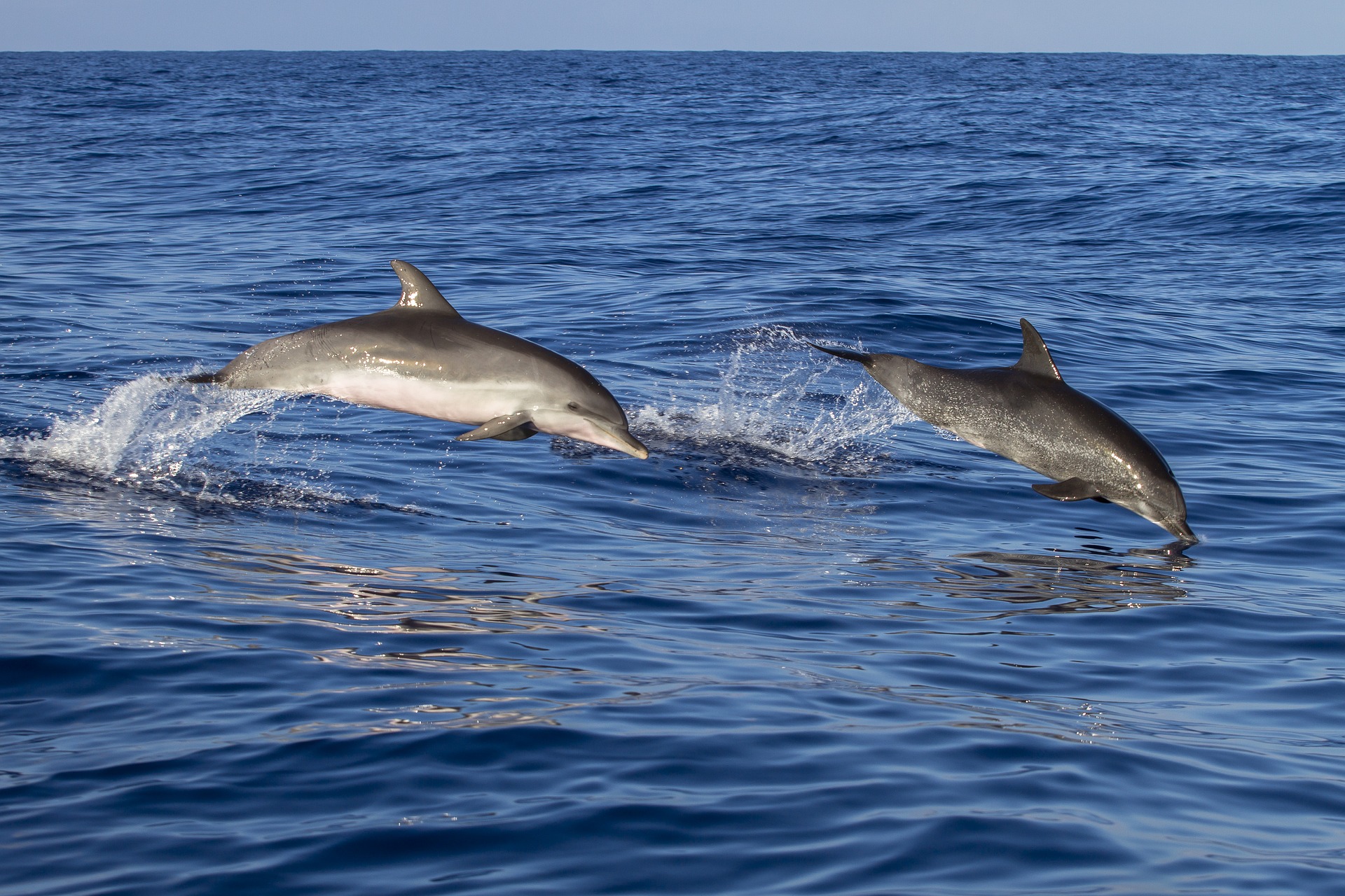 The Best Time To Visit Costa Rica