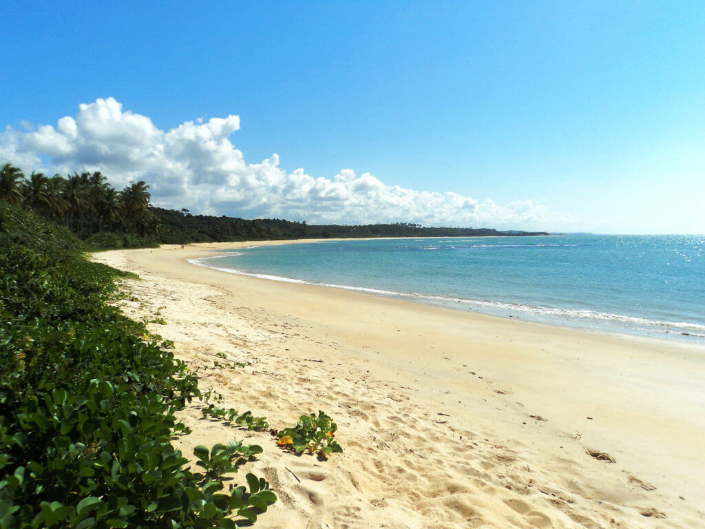 View of beach in Bahia during private Brazil tour