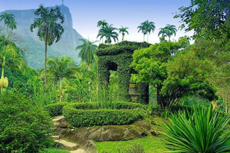 Lush botanical garden with a variety of plants and trees with Christ the Redeemer in distance in Rio de Janeiro