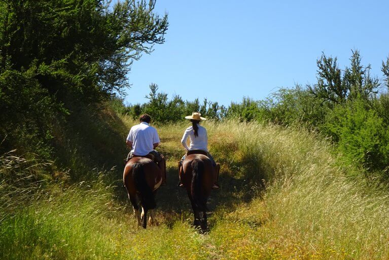 Man and woman horseback riding on a grassy trail on a private Easter Island tour