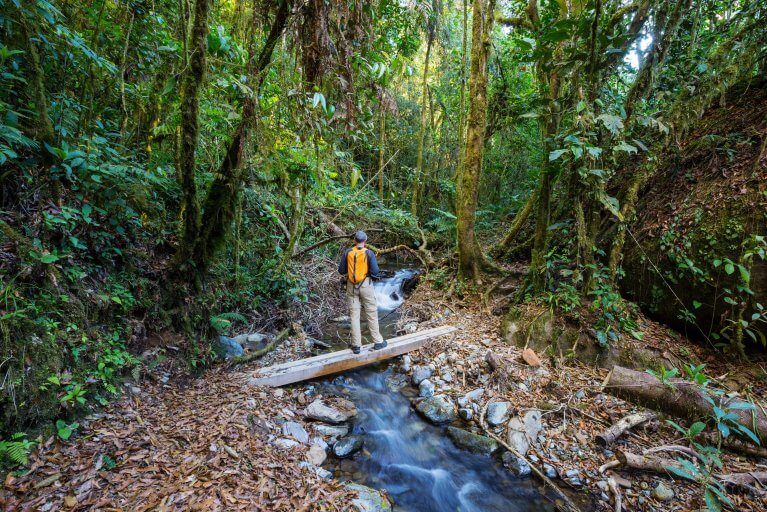 Hiking excursion through the jungle during a private tour in Costa Rica