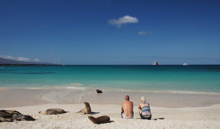 Couple sits on beach with a group of sea lions in the Galapagos Islands