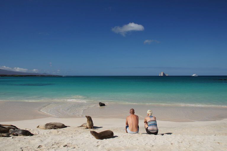 Couple sits on beach with a group of sea lions in the Galapagos Islands
