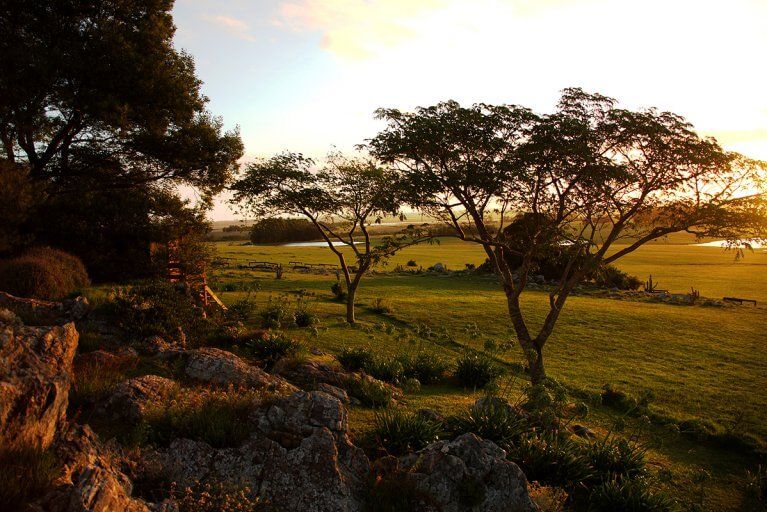Countryside of Estancia Vik in golden light at sunset in Uruguay