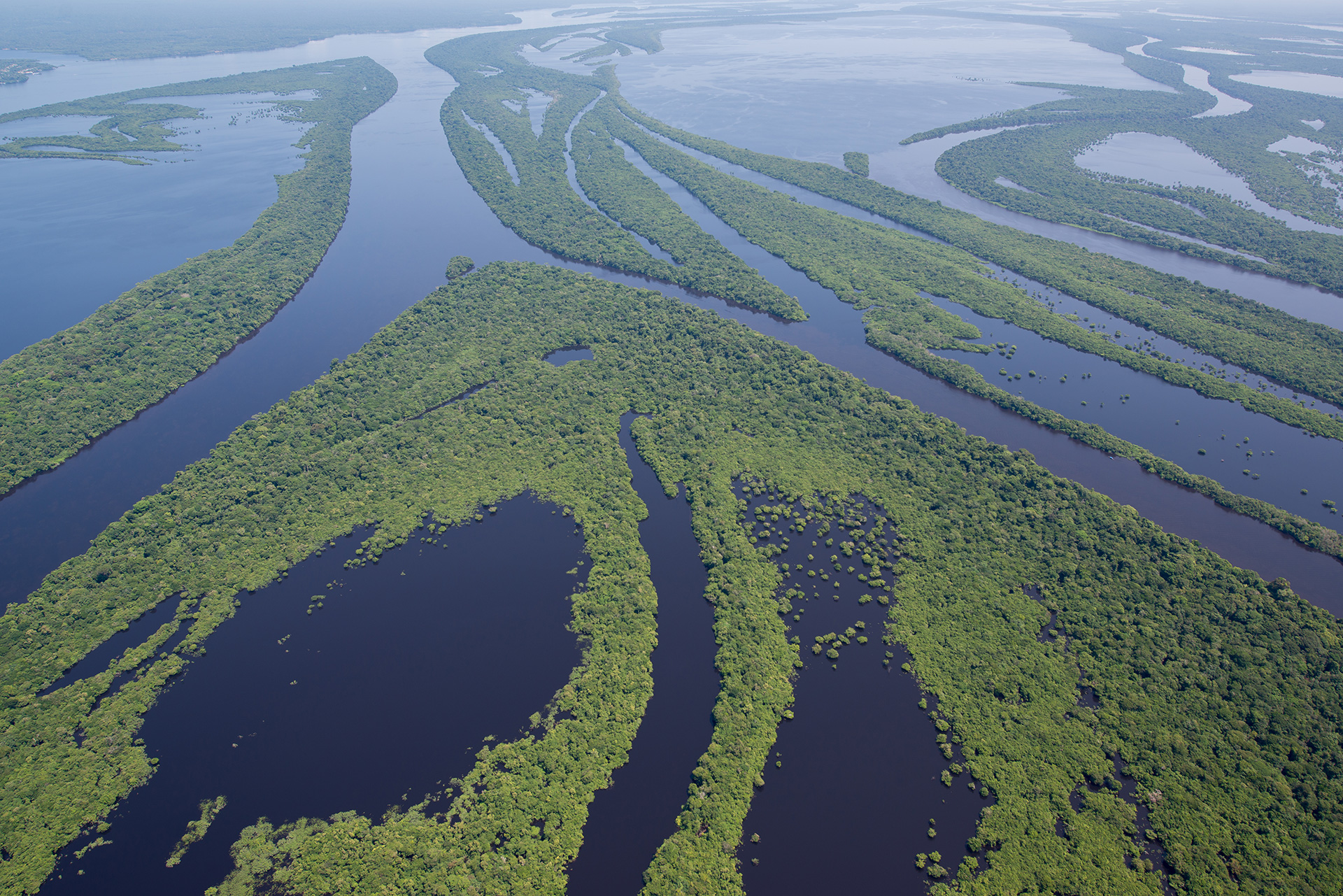 Amazon Tours | Luxury Travel Brazil | Blue Parallel