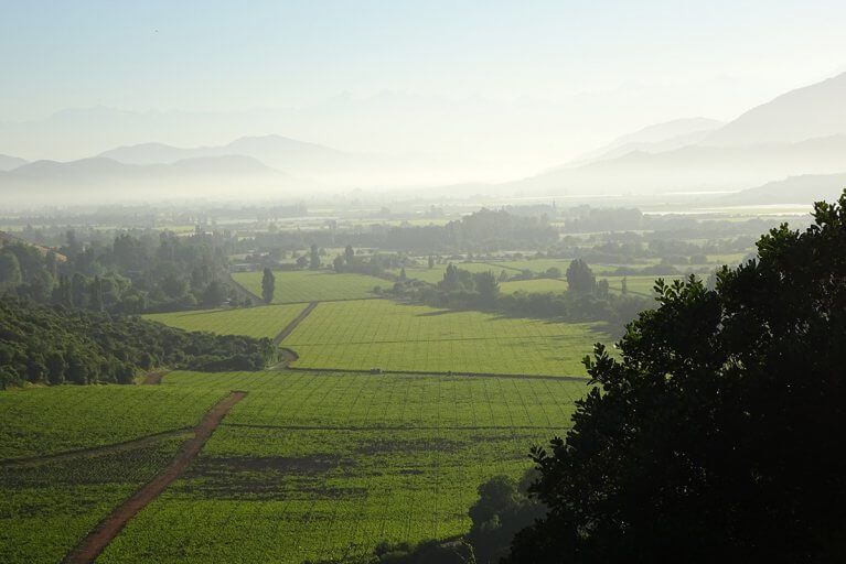 View of vineyards below from Vik Chile on a misty day