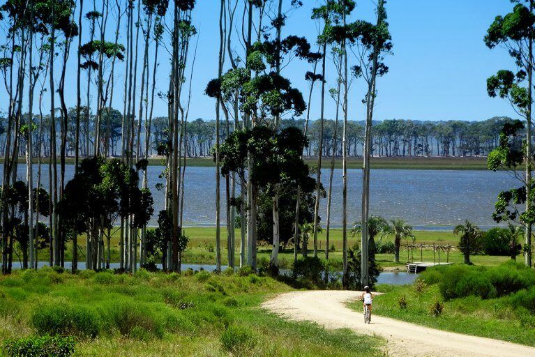 Woman biking near Laguna Anastasio in the countryside during a luxury tour of Uruguay.jpg