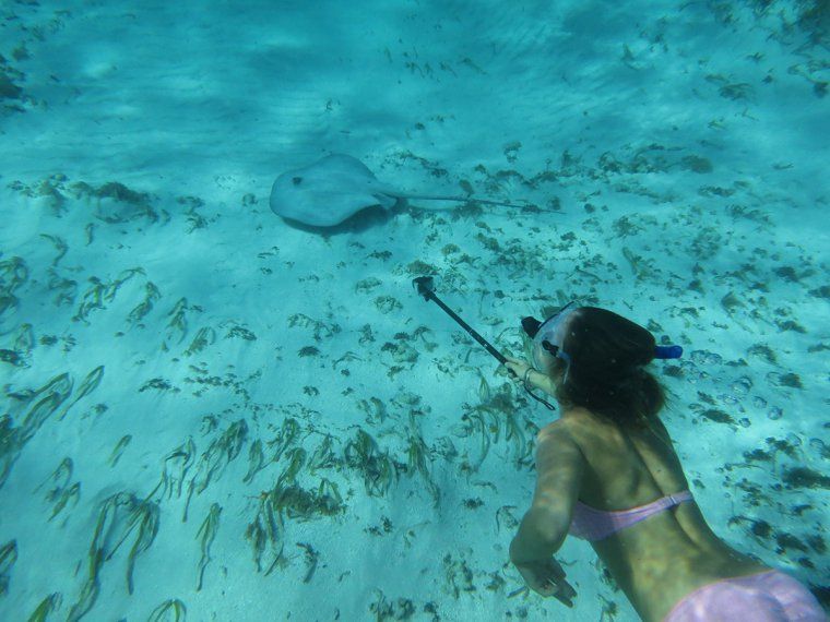 Snorkel with sting rays during a luxury vacation in the San Blas Islands, Panama