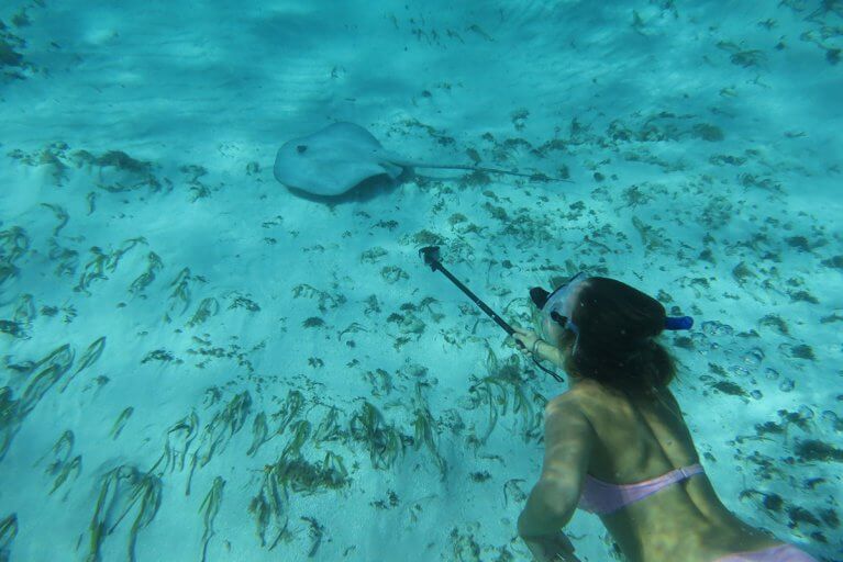 Snorkel with sting rays during a luxury vacation in the San Blas Islands, Panama