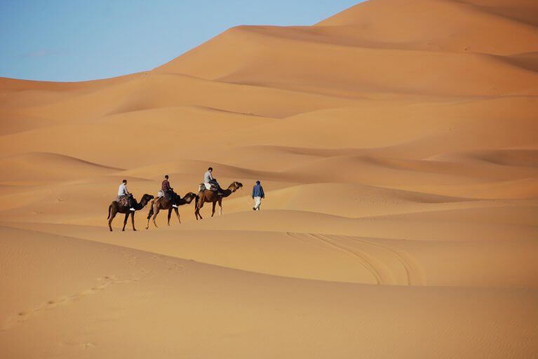 Group during a camel riding excursion through a vast expanse of giant sand dunes