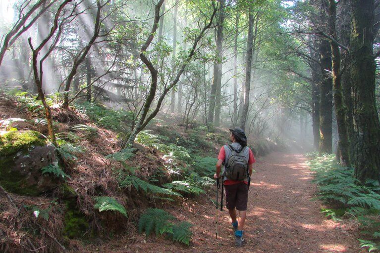Man hiking in forest with light streaming in on an Aeolian island