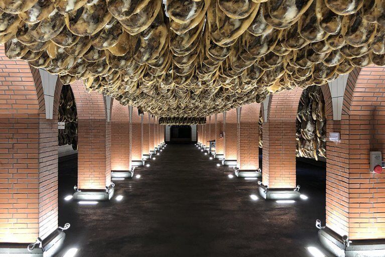 Legs of Iberian ham hang in Jamón ibérico production plant in Andalucia region of Spain