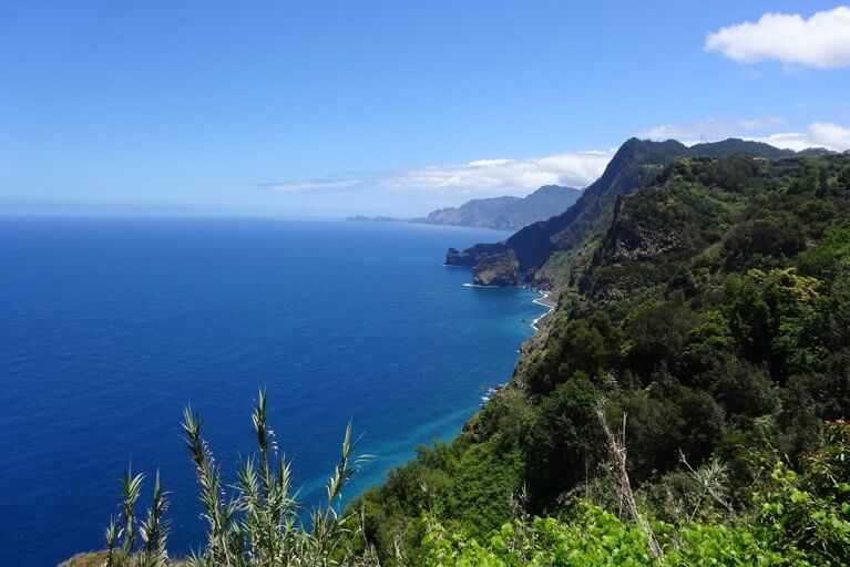 Forested mountains along the Atlantic coast of Madeira