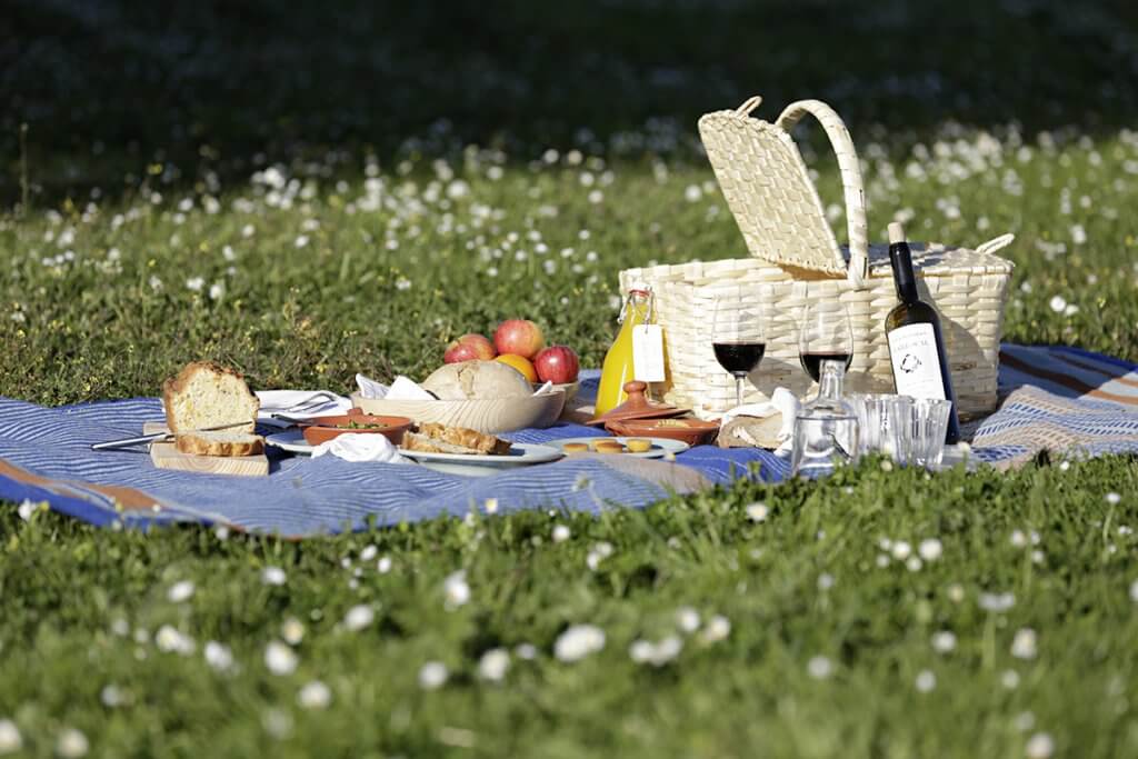 Gourmet picnic set up on blanket in the grass in the Alentejo region