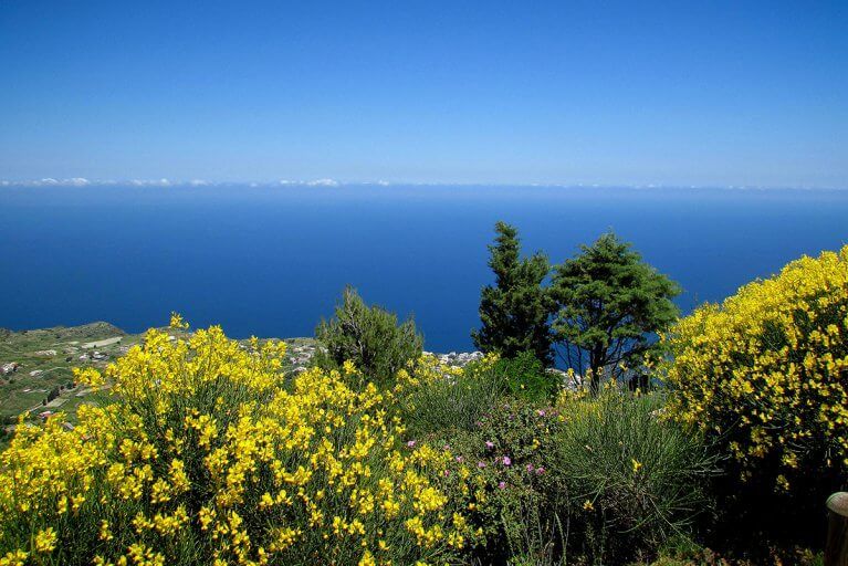 Flowering native plants and view of sea from an Aeolian island