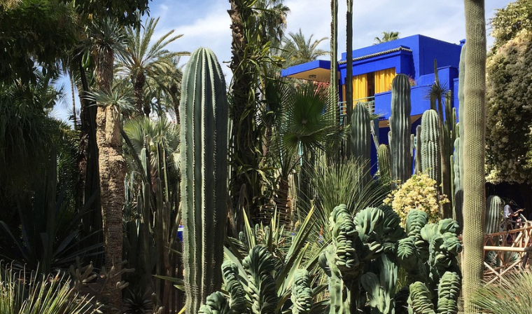 Jardin Majorelle during a private Morocco tour