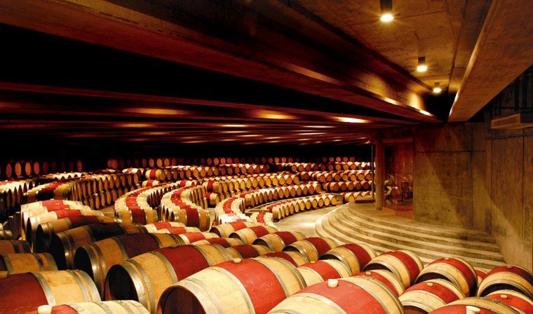 Montes Winery in Chile during private Chile tour