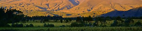 Andean highlands in Ecuador covered in grass and trees with tall mountain with snowy peak covered by clouds