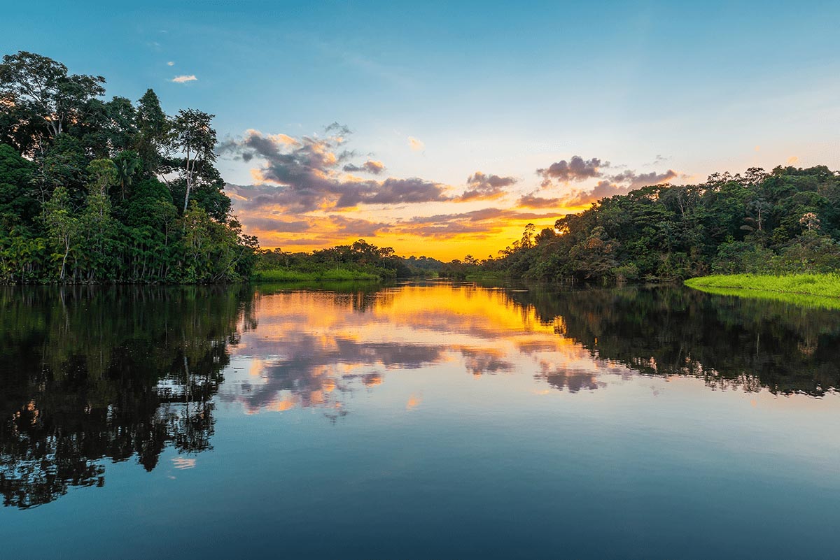 Sunset on the Amazon river surrounded by jungle trees in Ecuador