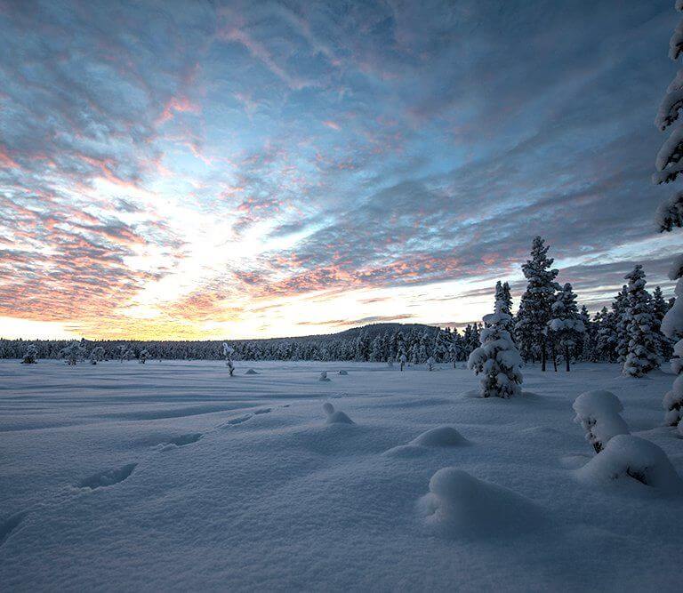 Landscape showing snowy clearing in a forest of pine trees at sunset