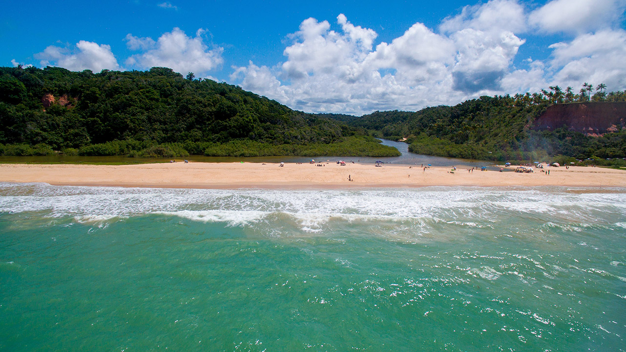 Looking toward beach and jungle from turquoise water in Bahia, Brazil