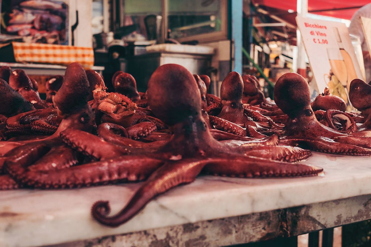 Octopuses for sale at Ballaro Market in Palermo, Sicily