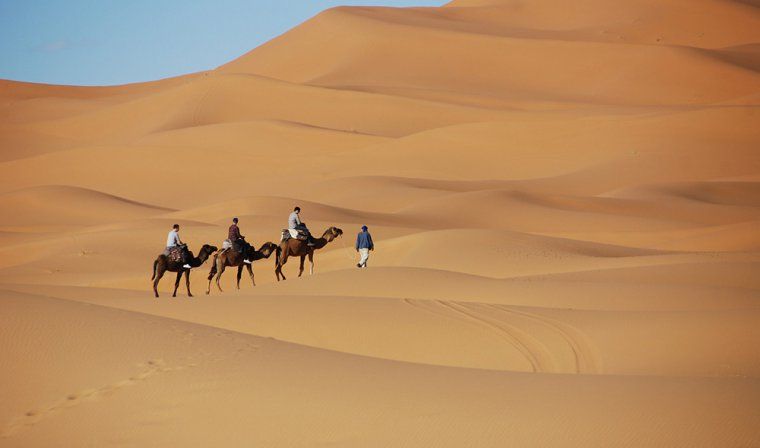Group during a camel riding excursion through a vast expanse of giant sand dunes