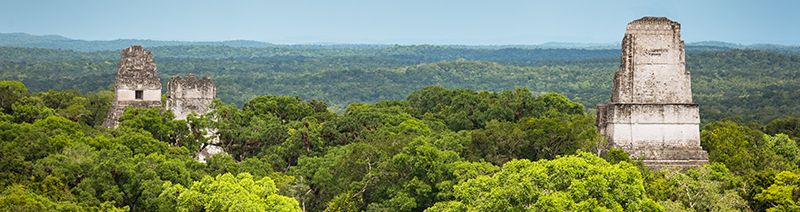 View of ancient Mayan ruins peeking above the canopy at the pre-Colombian citadel of Tikal