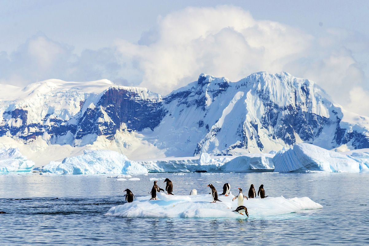 Penguins playing on an ice floe in the Weddell Sea with the jagged, rocky peaks of mainland Antarctica in the background
