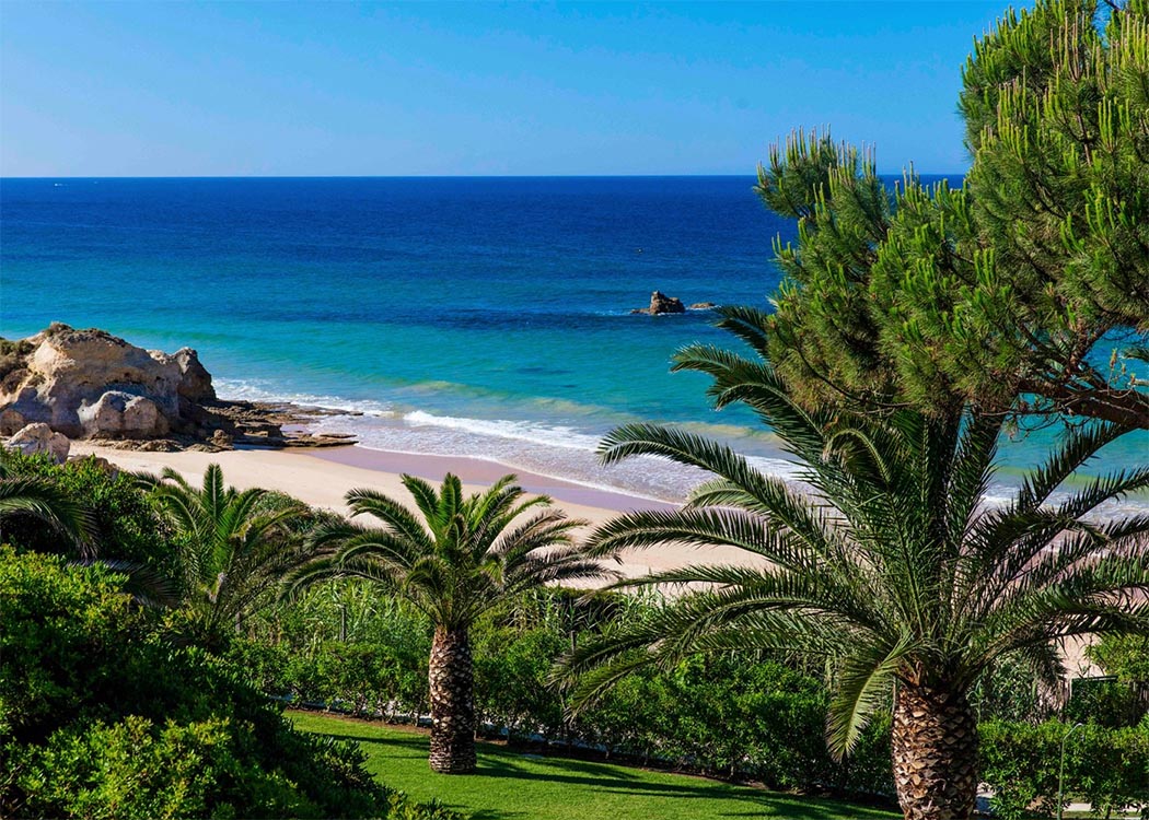 Palm trees by sandy beach and blue sea along the Algarve coast