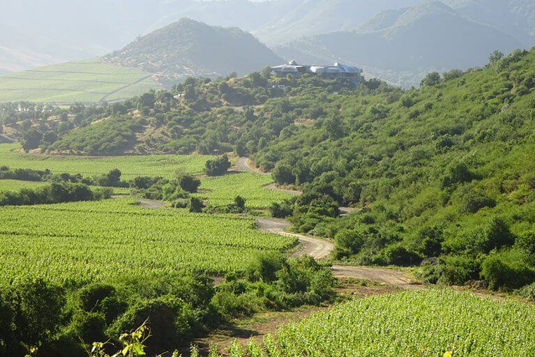 Viña Vik winery surrounded by vineyards and mountains in Chile
