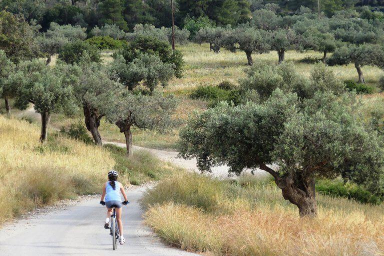 Woman enjoy private biking excursion through olive grove on Peloponnese peninsula, Greece
