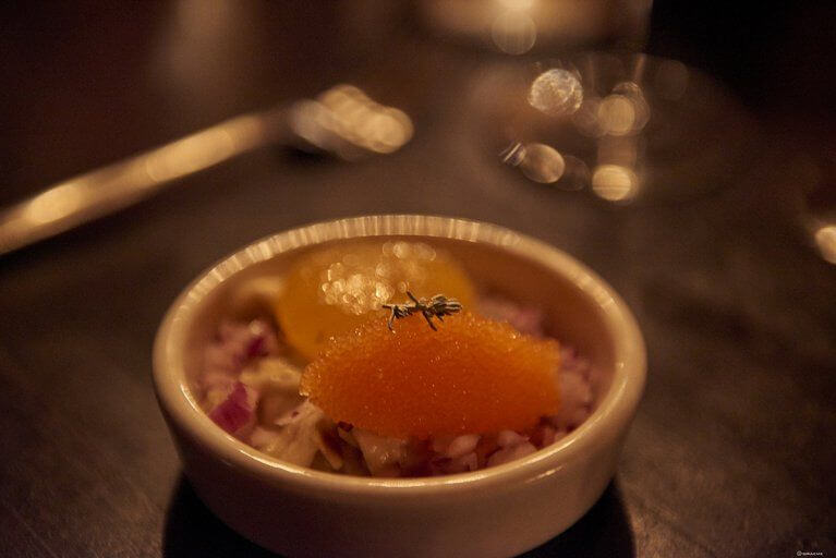 Closeup photo of a dish with orange caviar