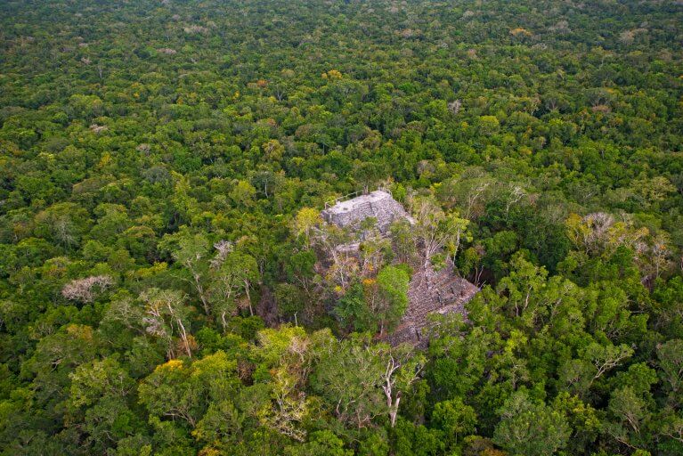 Aerial view of the remote El Mirador archeological site, accessible by private helicopter during a luxury Guatemala tour