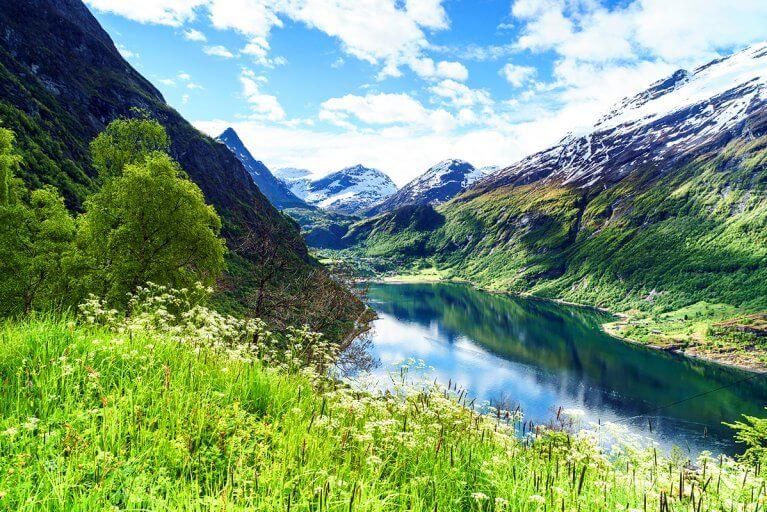 Landscape showing mountains, wildflowers, and water of Geiranger Fjord in Norway