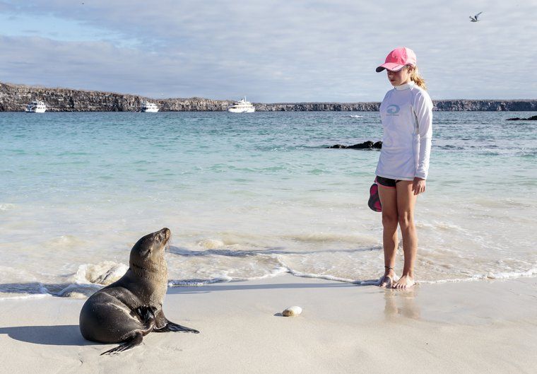 Girl and seal facing each other on a beach on a luxury tour of Galapagos Islands