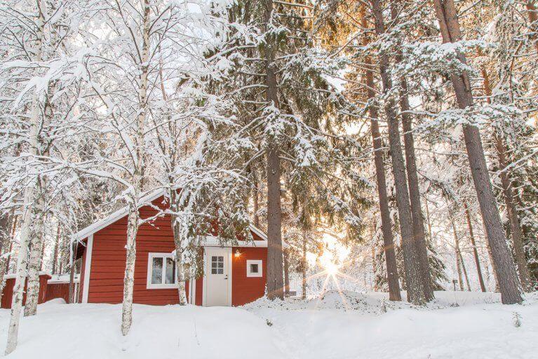Red exterior walls of a private wilderness cabin in the snowy woods with the late afternoon sun shining between trees