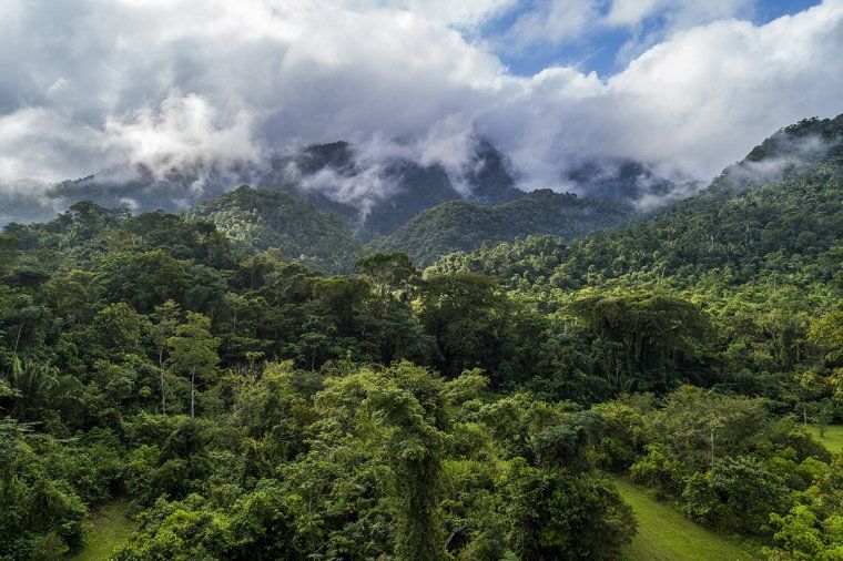 Landscape of a cloud forest in Belize, with lush mountains peeking through the clouds