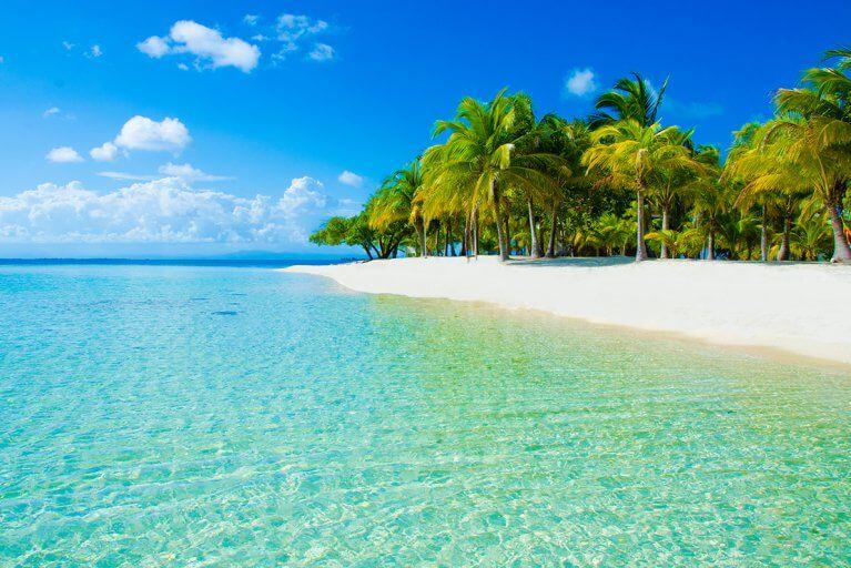 A picture perfect beach in Belize with crystal clear water, palm trees, and white sand