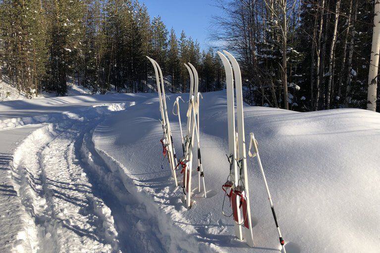Skis resting vertically in a snowbank in the woods