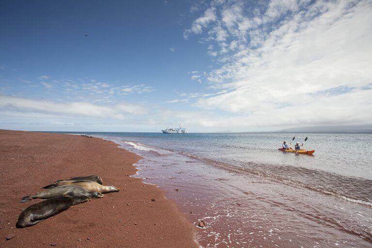 Couple sea kayaking by red sand beach and group of sleeping sea lions with luxury yacht anchored in distance