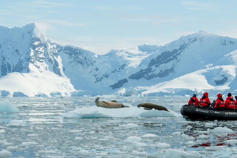 Seals Resting Iceberg Zodiac Excursion Antarctica