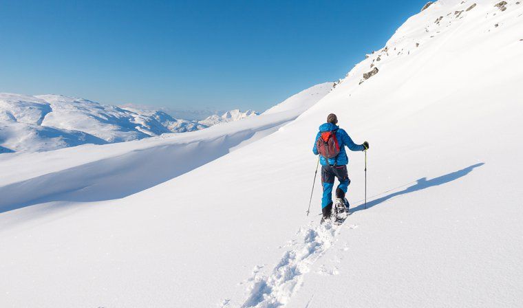 Snowshoe trekking excursion up a snowy slope