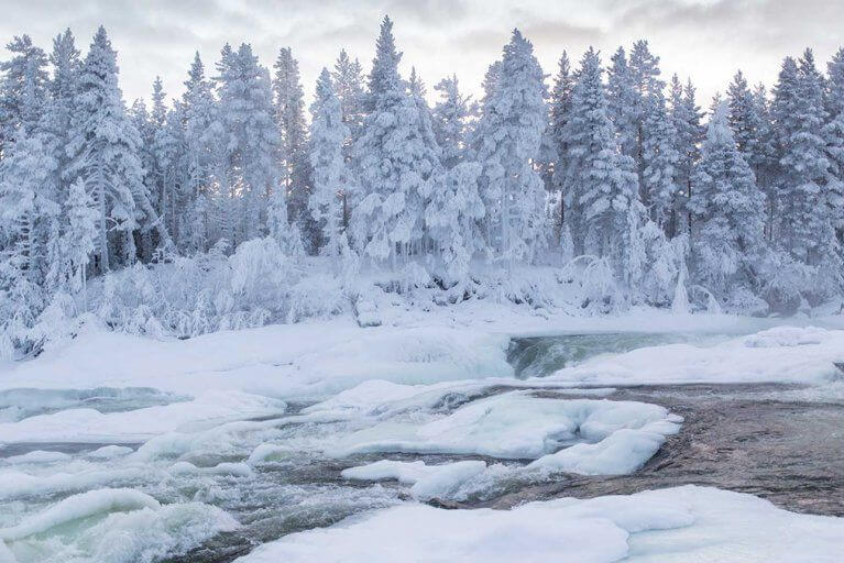 Landscape showing the crest of Storforsen Waterfall frozen in winter