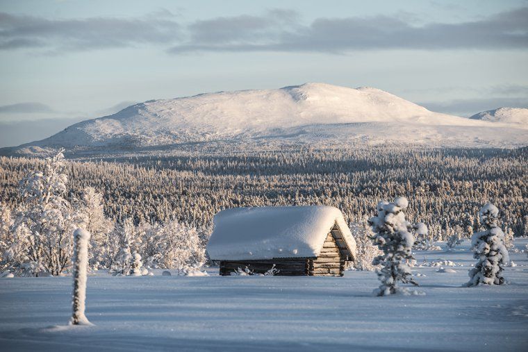 Wooden cabin in the wilderness covered with snow in Swedish Lapland
