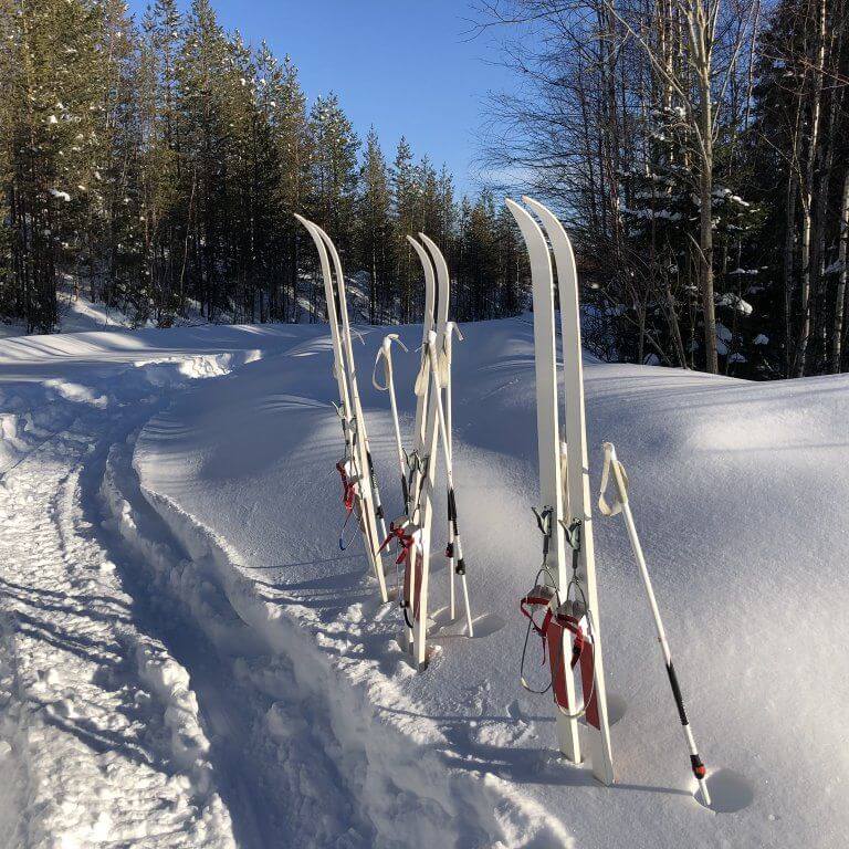 Skis resting vertically in a snowbank in the woods
