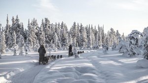 LAPLAND LUXURY TOURS, SWEDEN